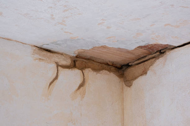 Best Professional water damage repair  in Glen Burnie, MD